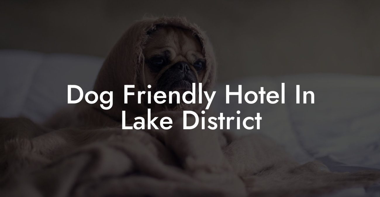 Dog Friendly Hotel In Lake District