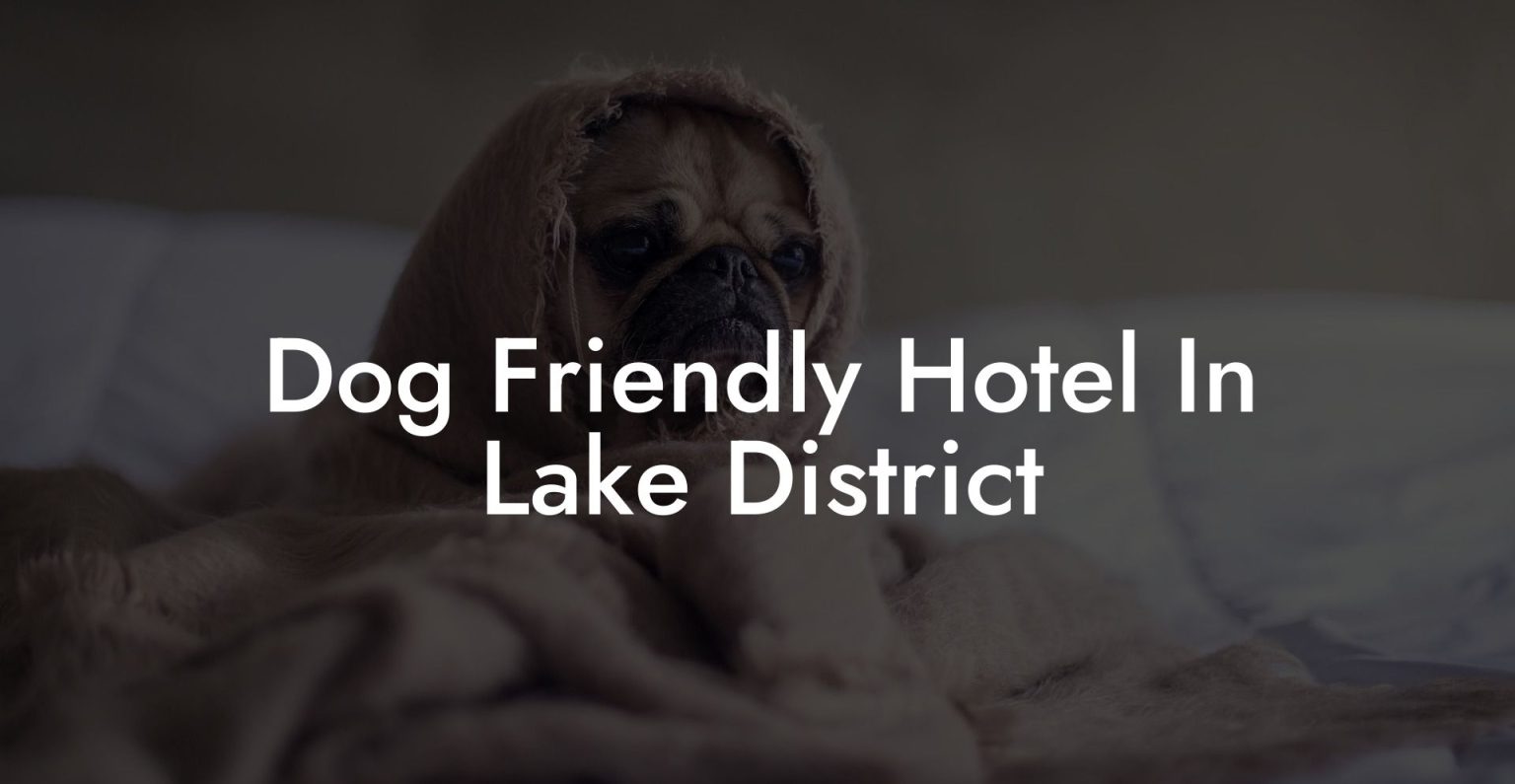 Dog Friendly Hotel In Lake District Dog Hotels