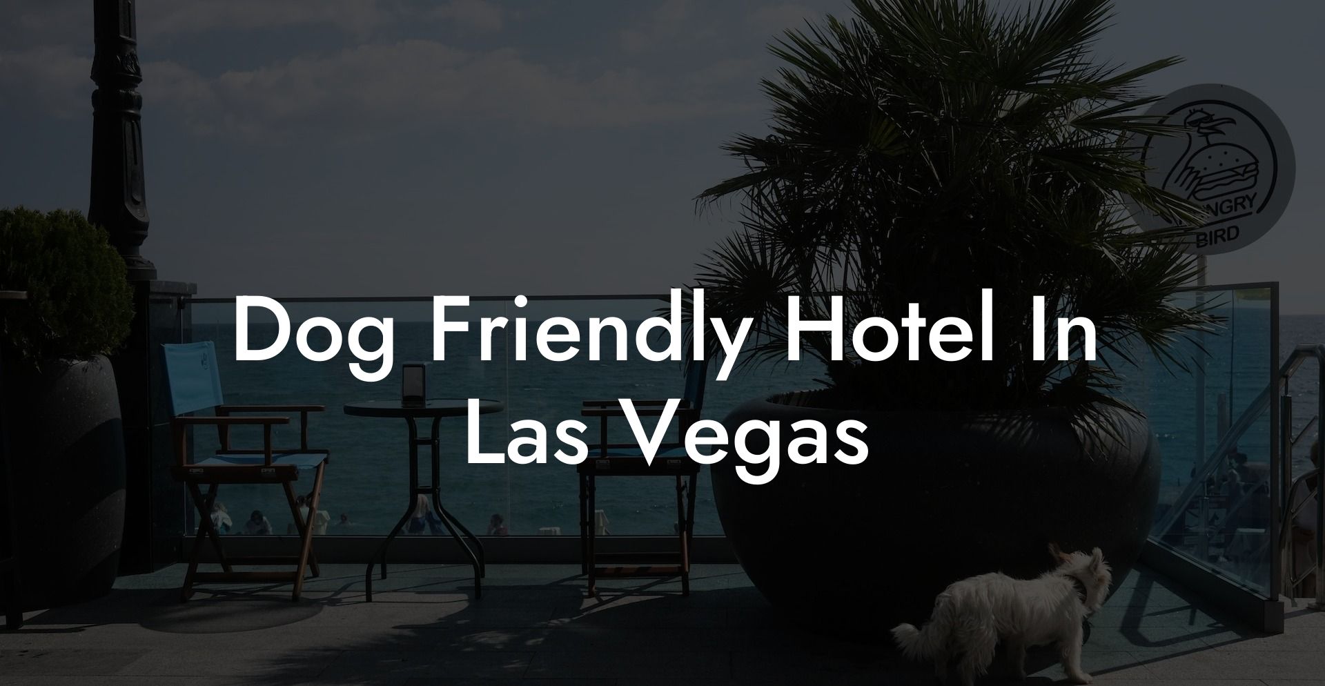 Dog Friendly Hotel In Las Vegas