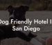 Dog Friendly Hotel In San Diego