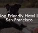 Dog Friendly Hotel In San Francisco