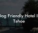 Dog Friendly Hotel In Tahoe