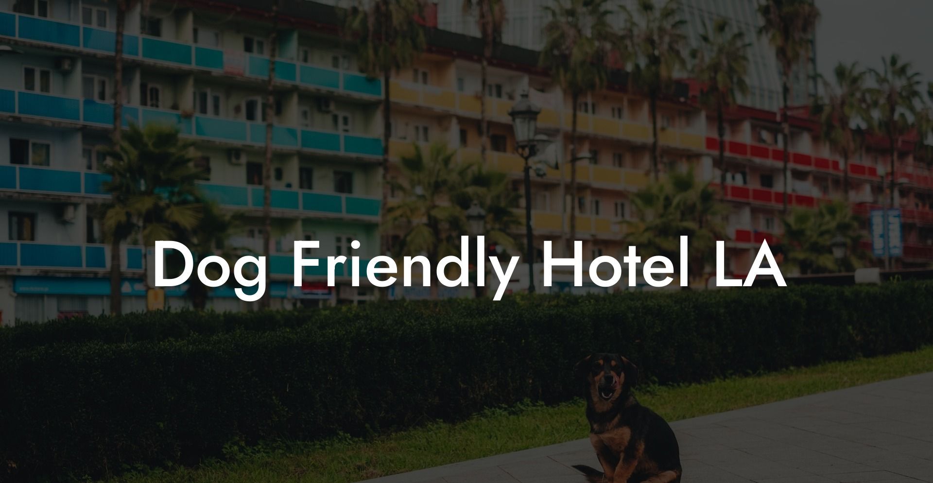 Dog Friendly Hotel LA