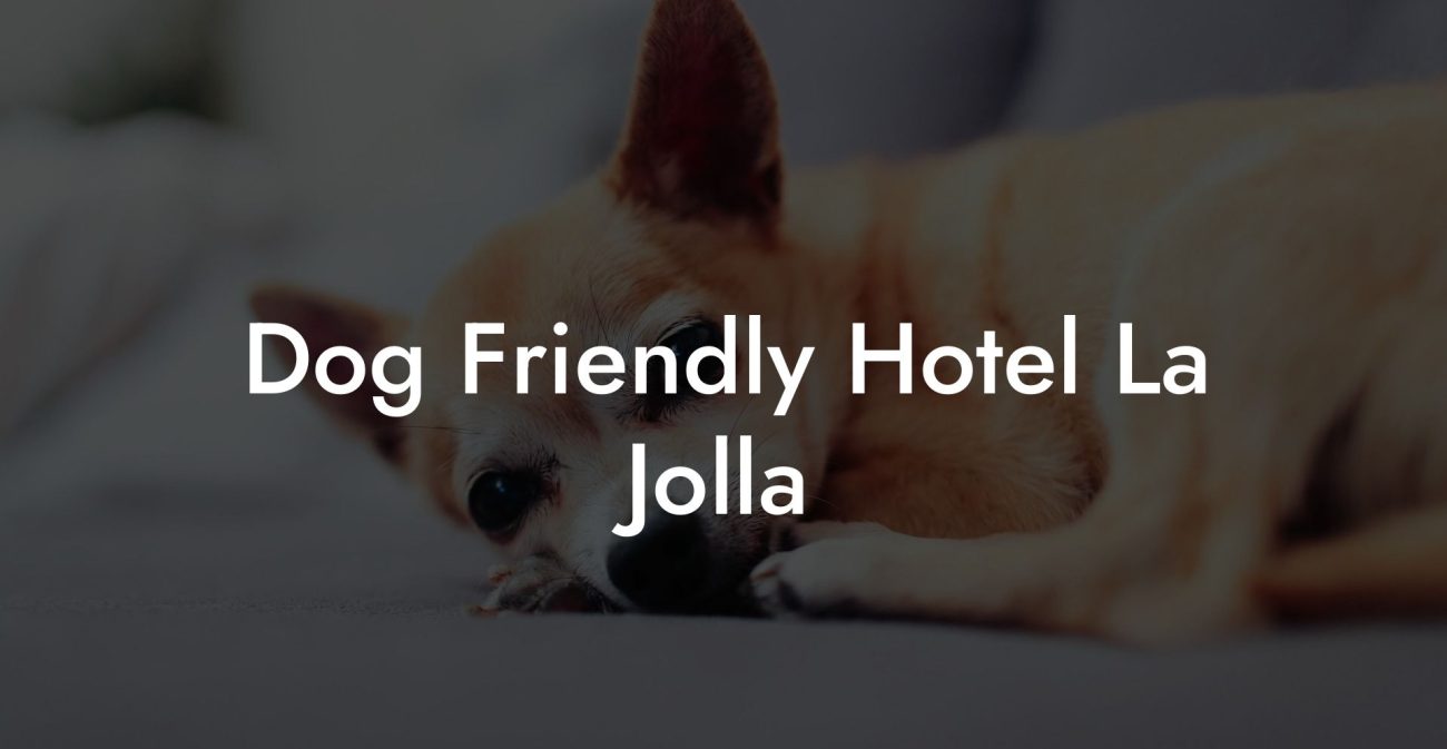 Dog Friendly Hotel La Jolla