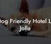 Dog Friendly Hotel La Jolla