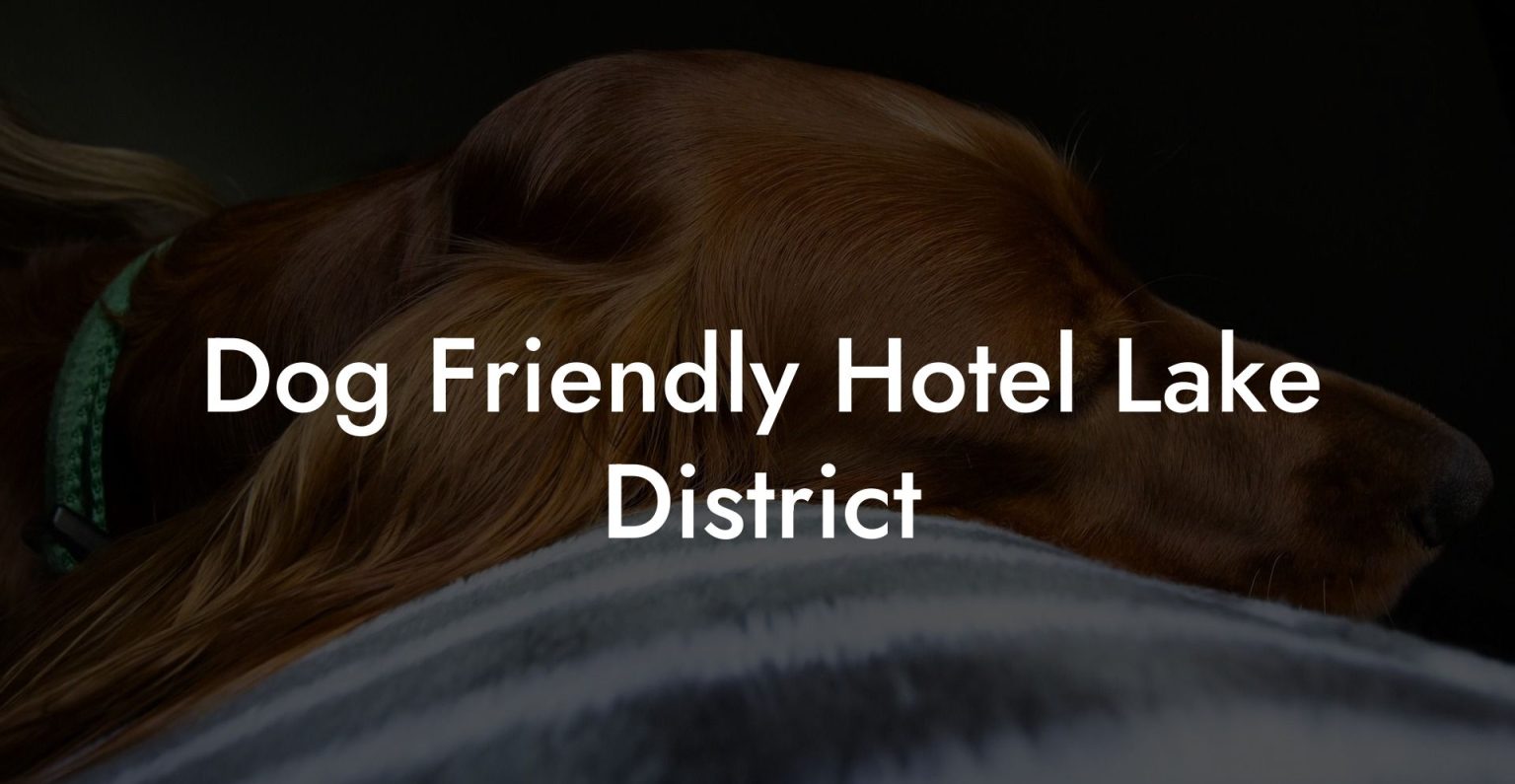 Dog Friendly Hotel Lake District Dog Hotels