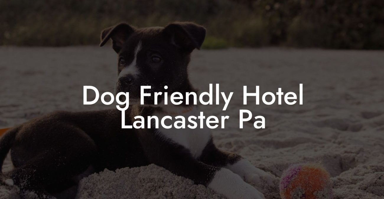 Dog Friendly Hotel Lancaster Pa