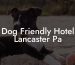 Dog Friendly Hotel Lancaster Pa