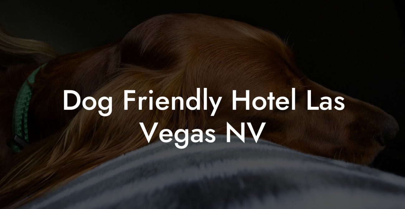 Dog Friendly Hotel Las Vegas NV