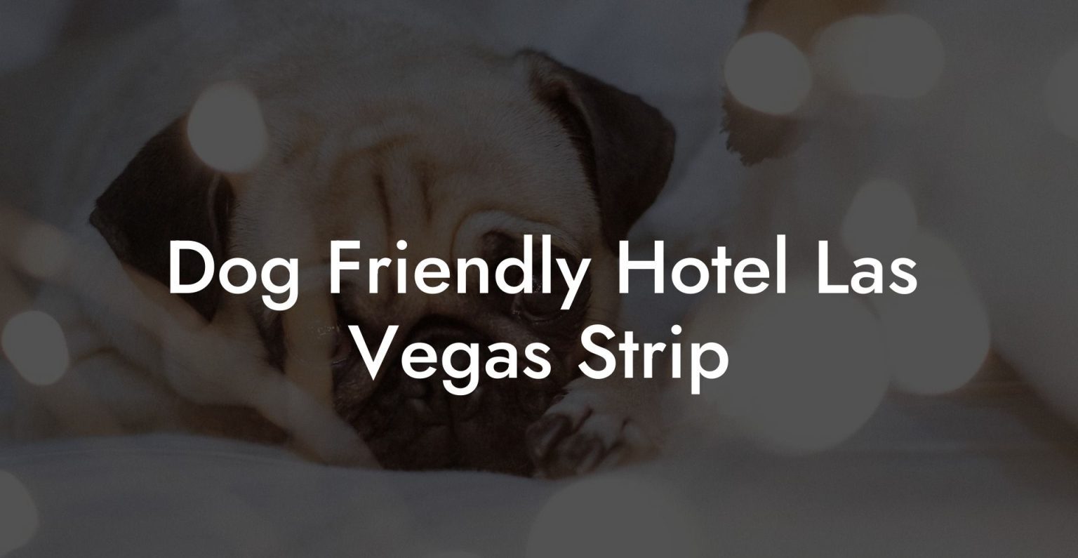 Dog Friendly Hotel Las Vegas Strip Dog Hotels