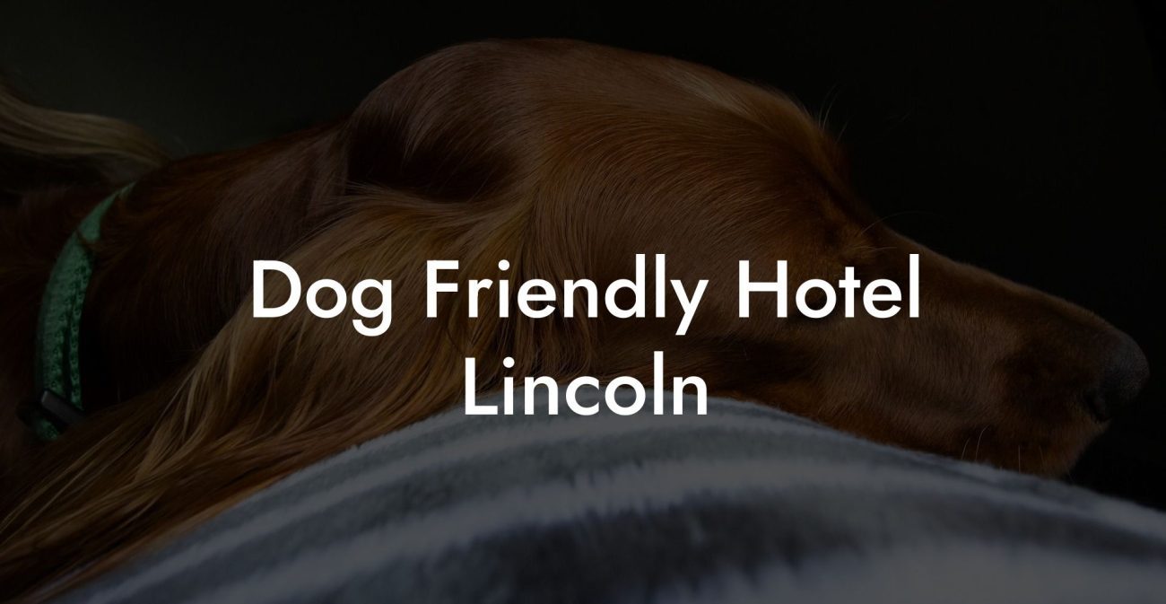 Dog Friendly Hotel Lincoln