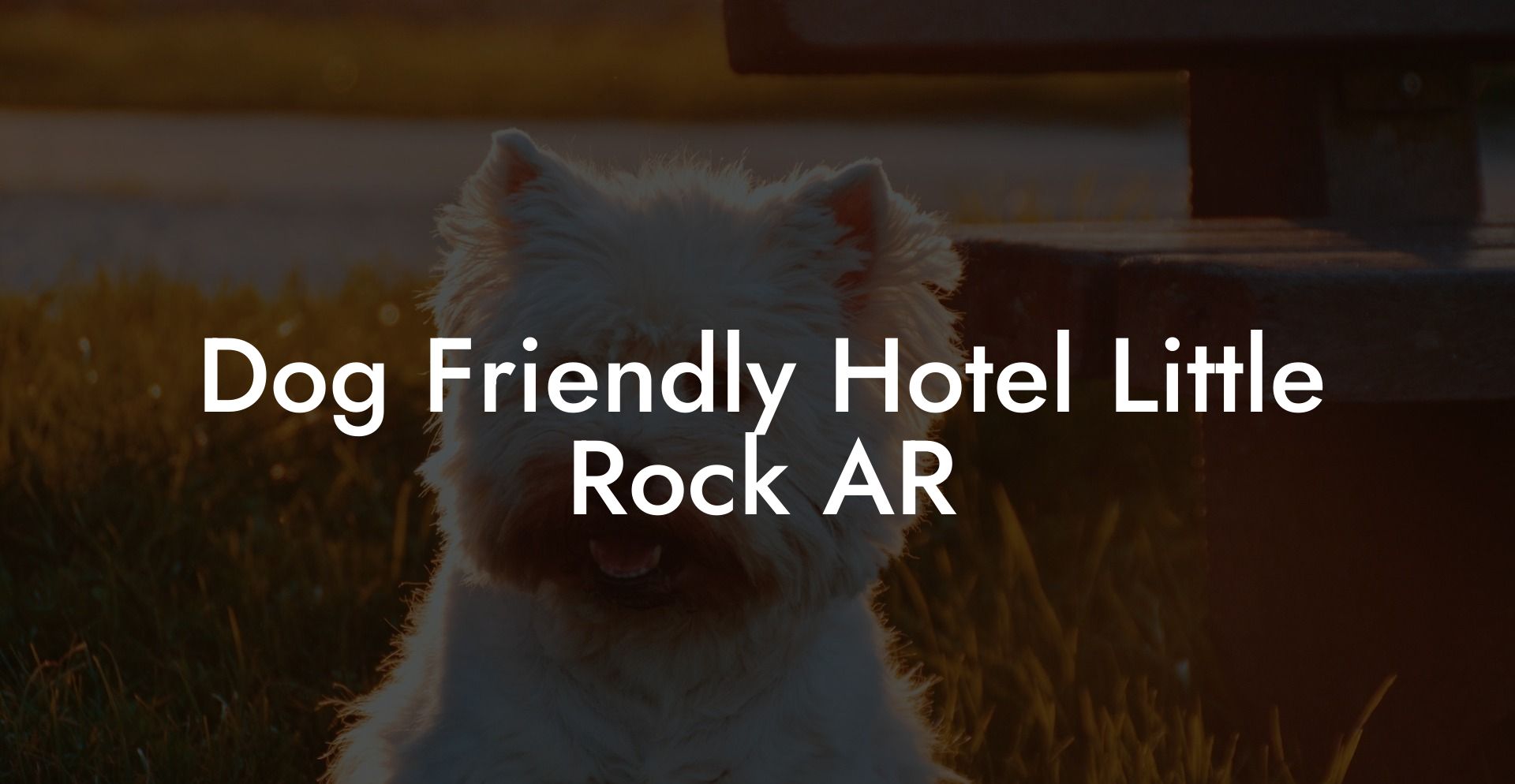 Dog Friendly Hotel Little Rock AR