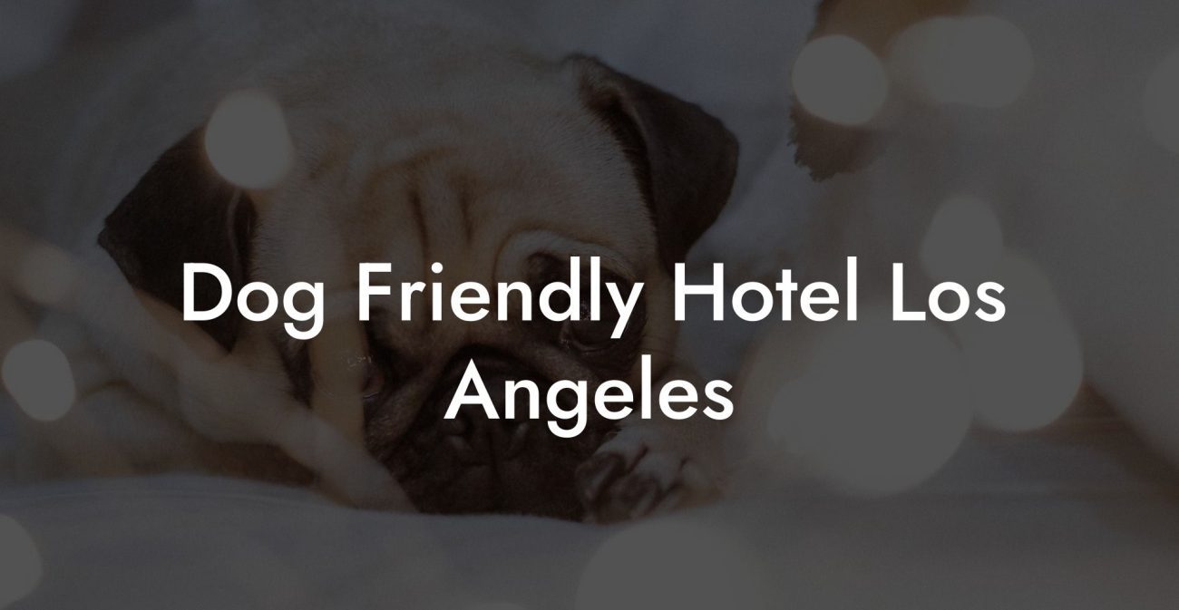 Dog Friendly Hotel Los Angeles