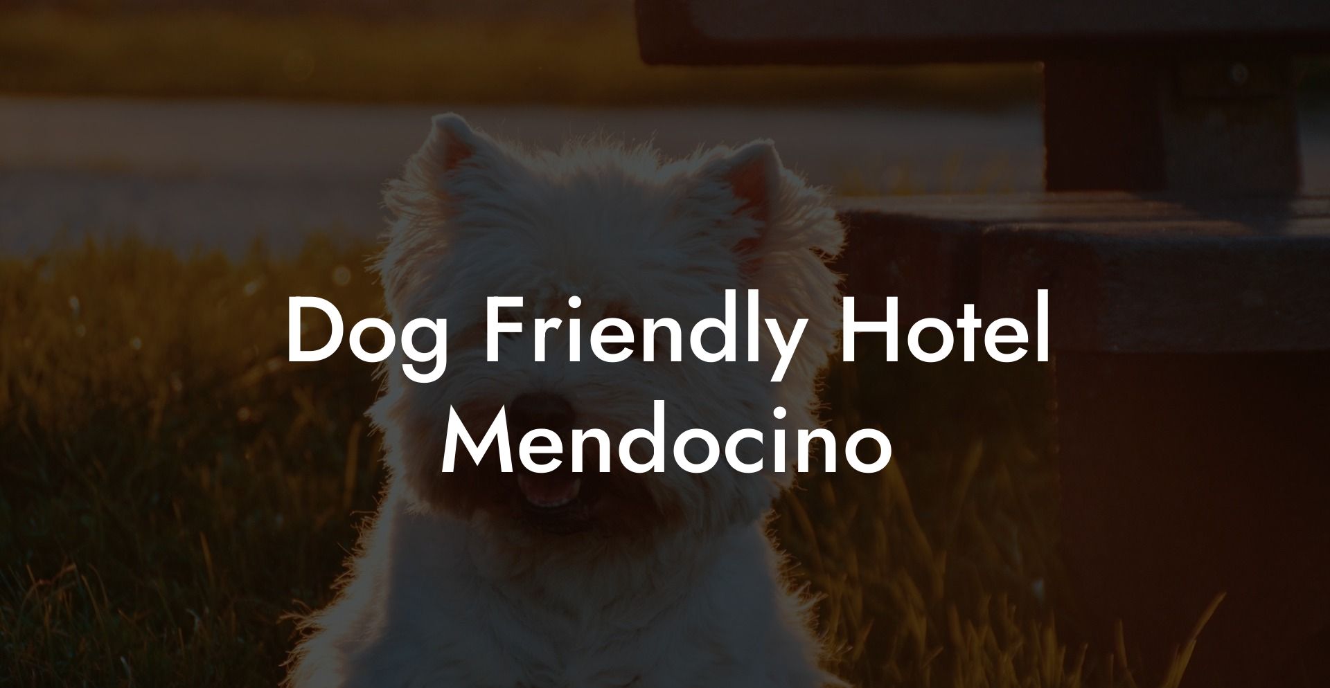 Dog Friendly Hotel Mendocino