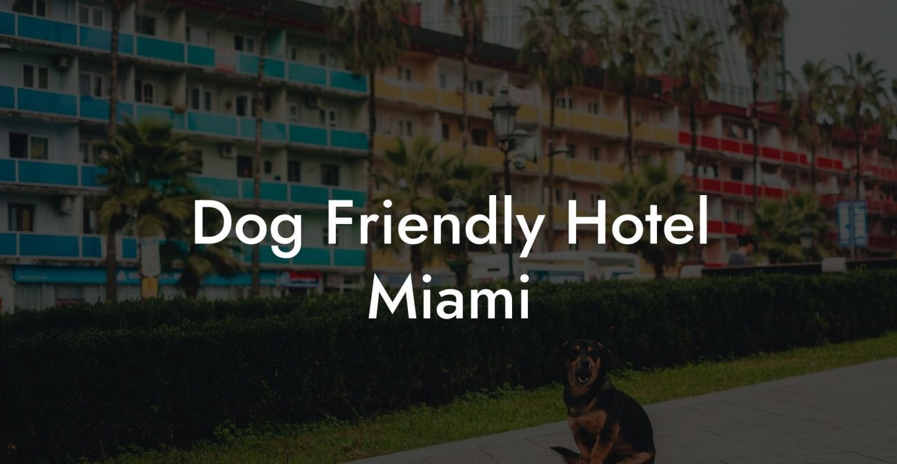 Dog Friendly Hotel Miami