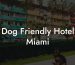 Dog Friendly Hotel Miami