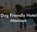 Dog Friendly Hotel Montauk