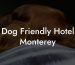 Dog Friendly Hotel Monterey