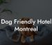 Dog Friendly Hotel Montreal