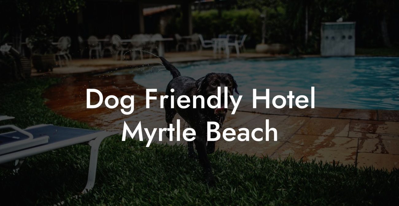 Dog Friendly Hotel Myrtle Beach