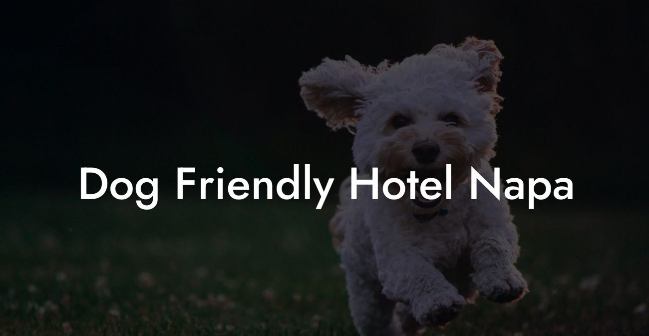 Dog Friendly Hotel Napa