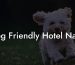 Dog Friendly Hotel Napa