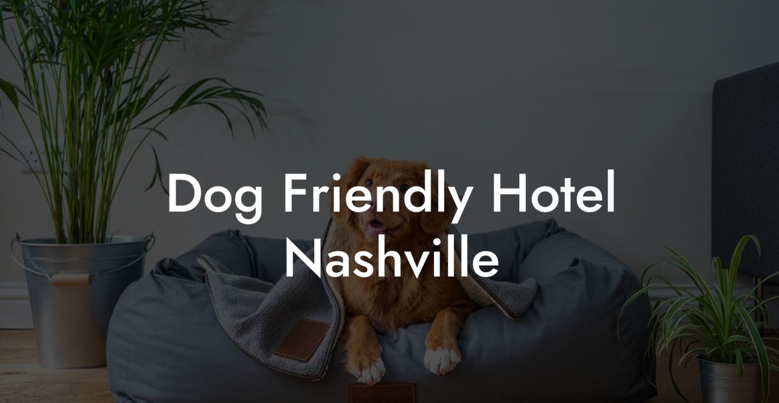 Dog Friendly Hotel Nashville Dog Hotels