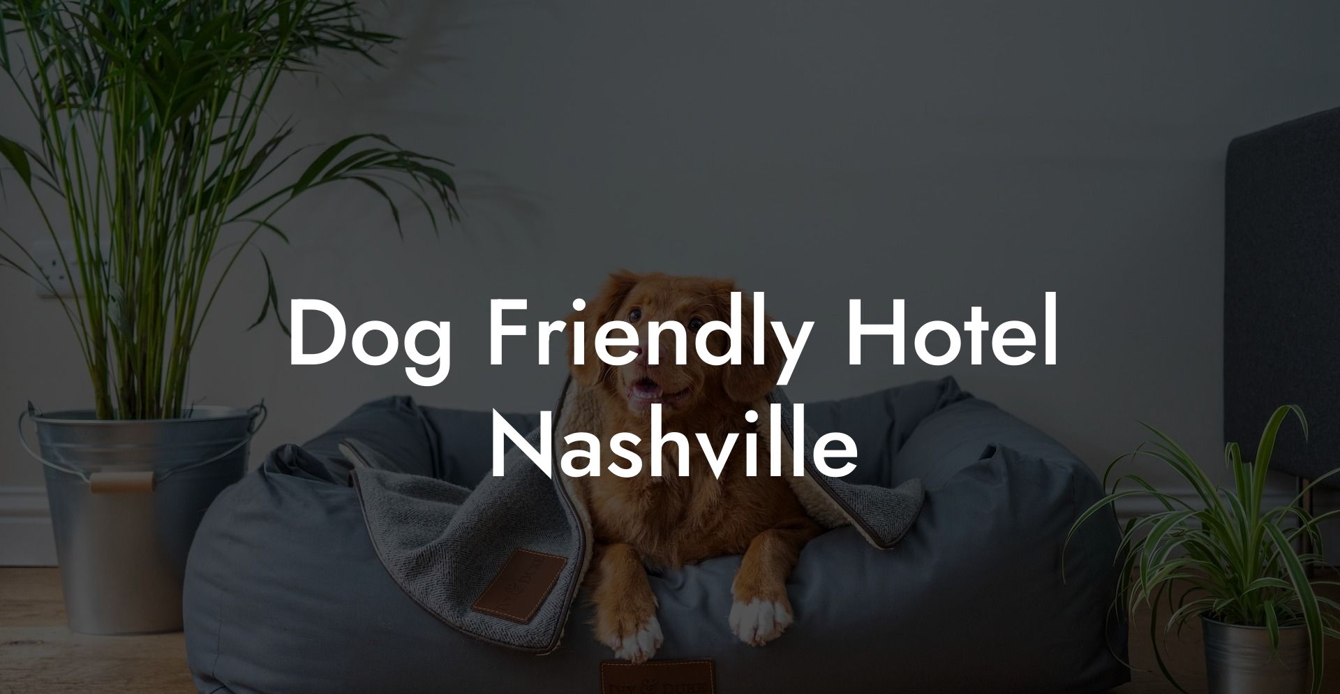 Dog Friendly Hotel Nashville