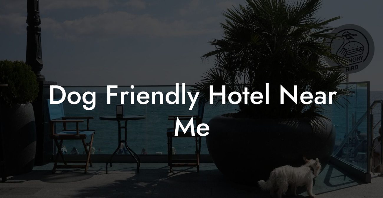 Dog Friendly Hotel Near Me