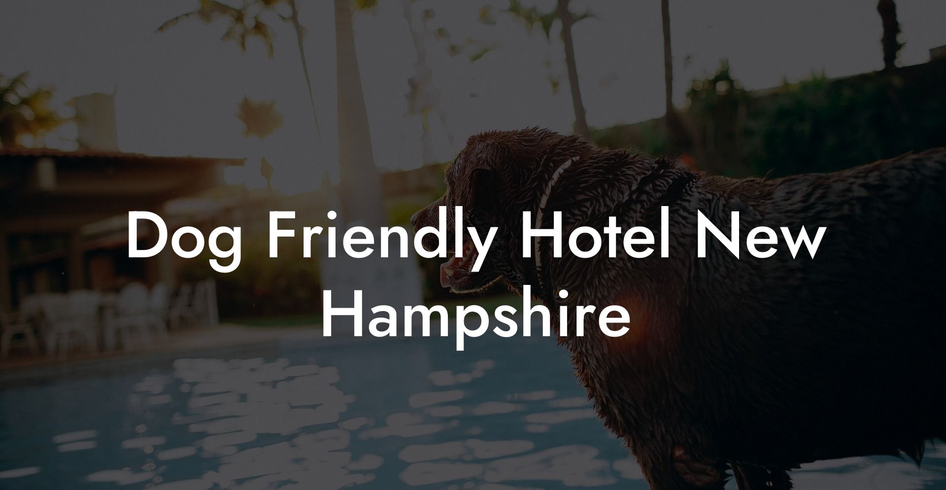 Dog Friendly Hotel New Hampshire