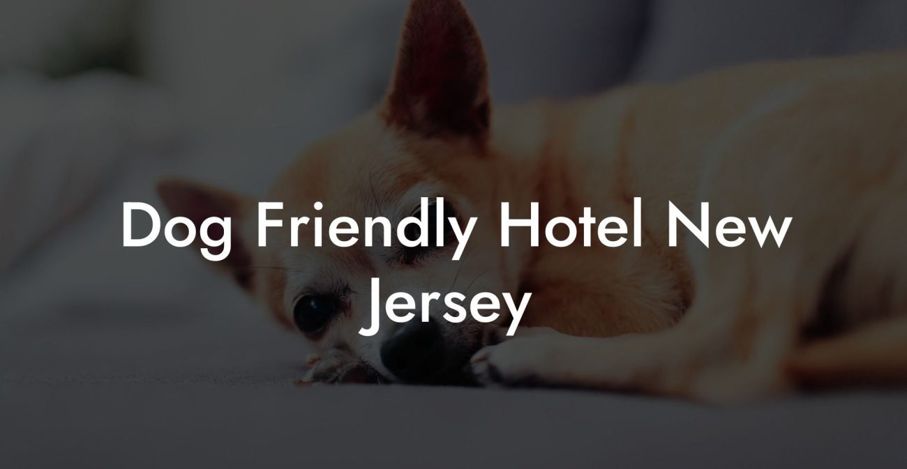 Dog Friendly Hotel New Jersey