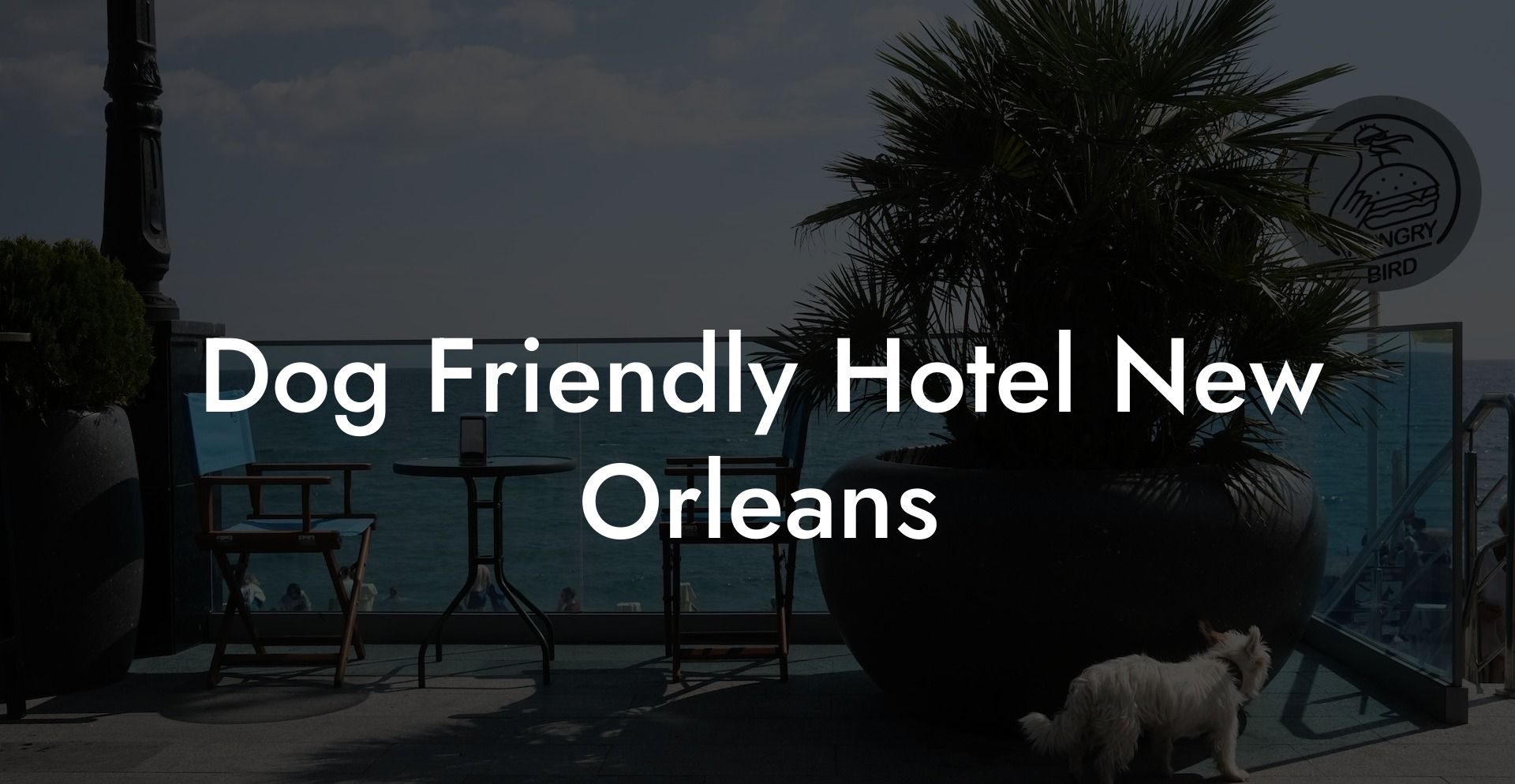 Dog Friendly Hotel New Orleans