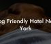 Dog Friendly Hotel New York