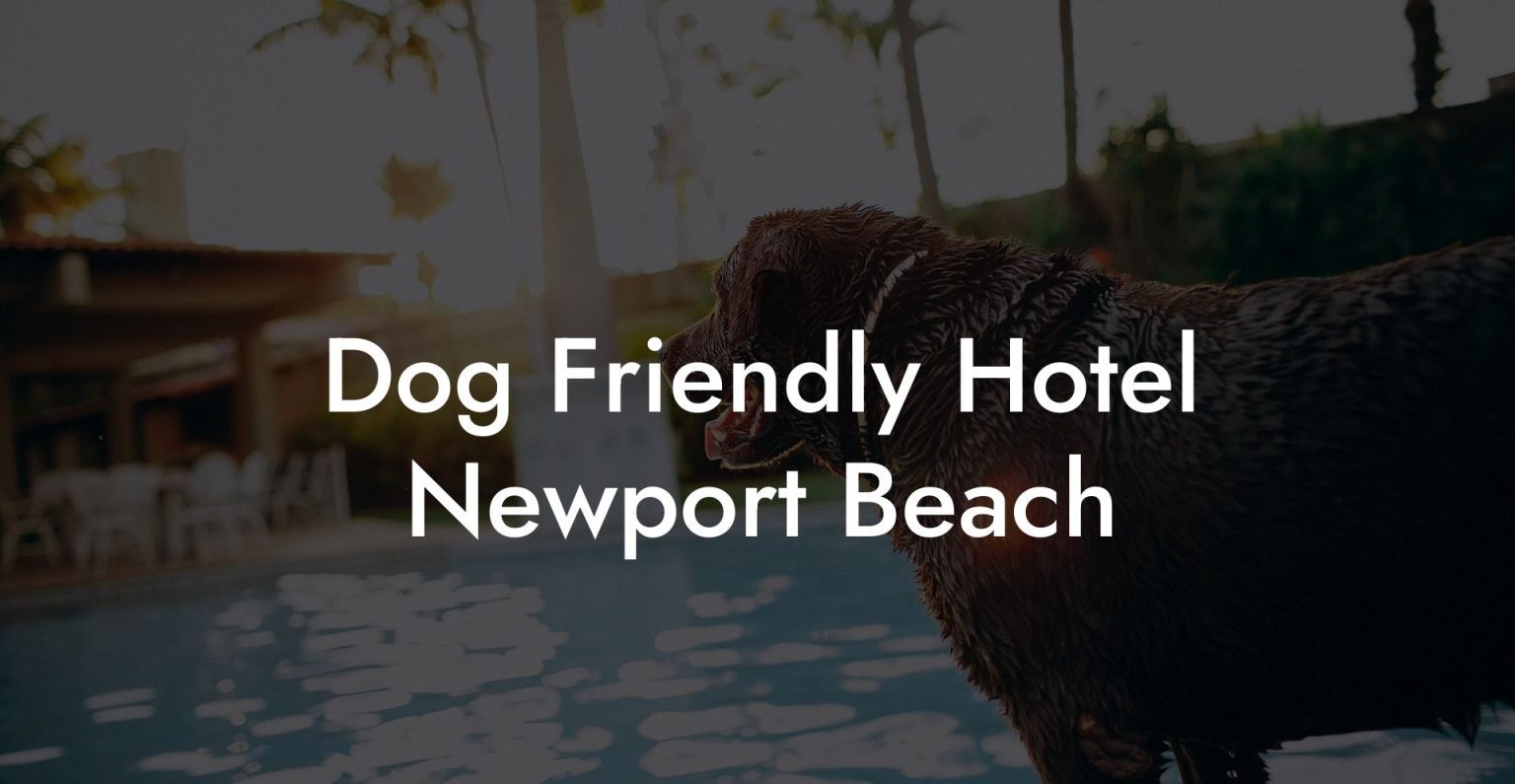 Dog Friendly Hotel Newport Beach Dog Hotels