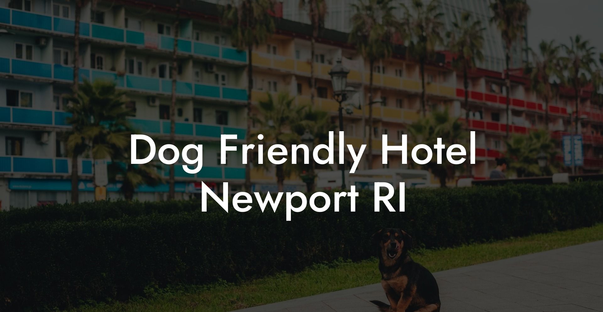 Dog Friendly Hotel Newport RI