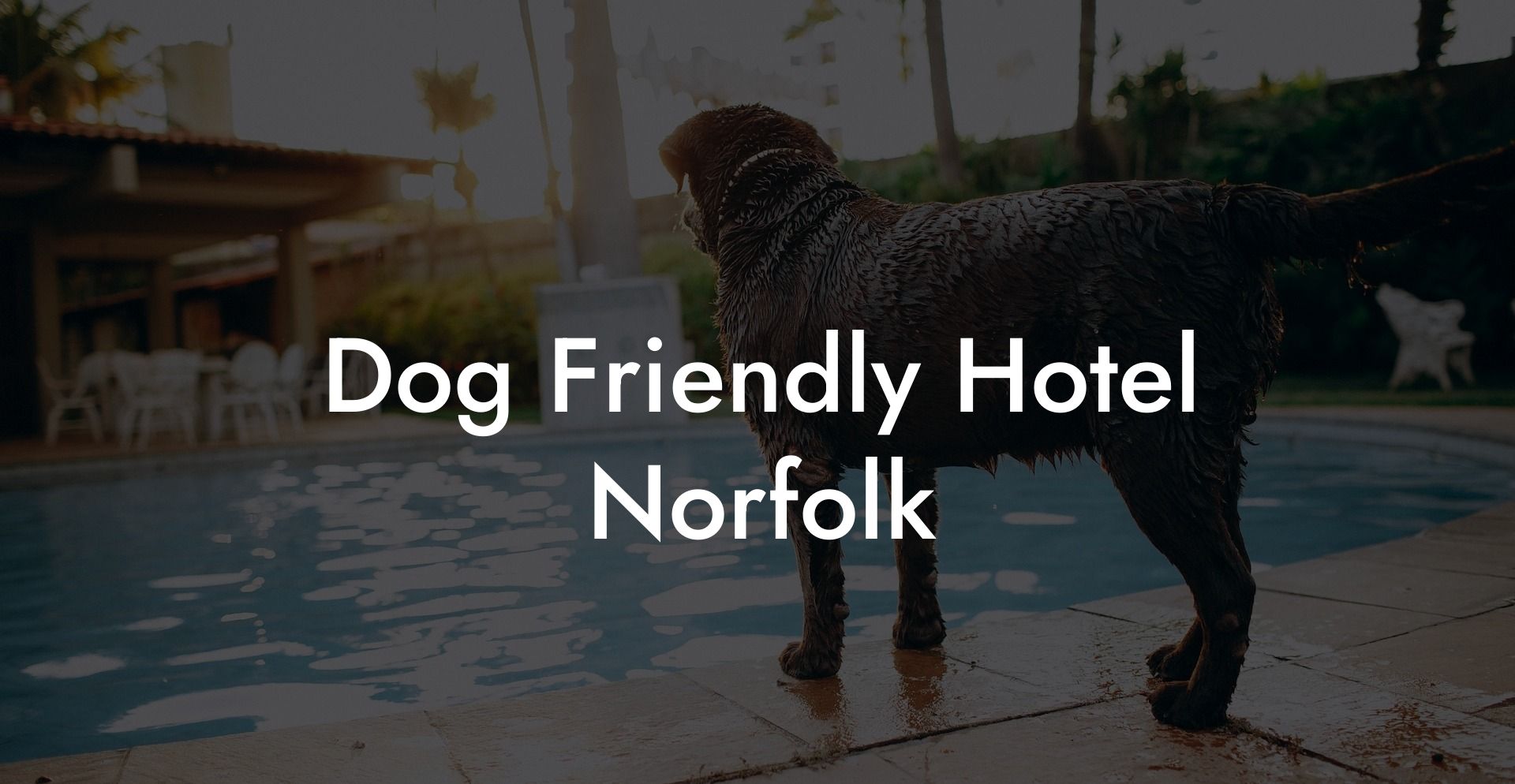 Dog Friendly Hotel Norfolk