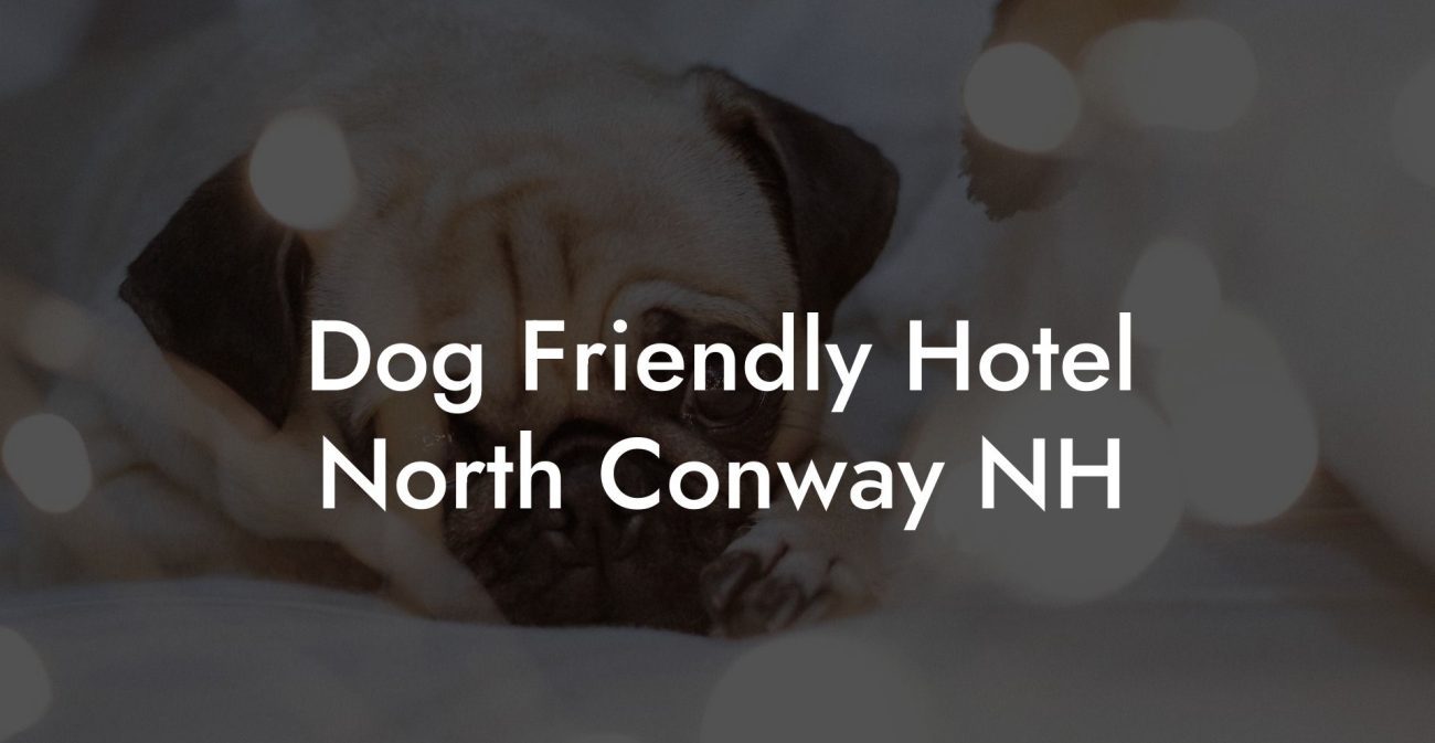 Dog Friendly Hotel North Conway NH