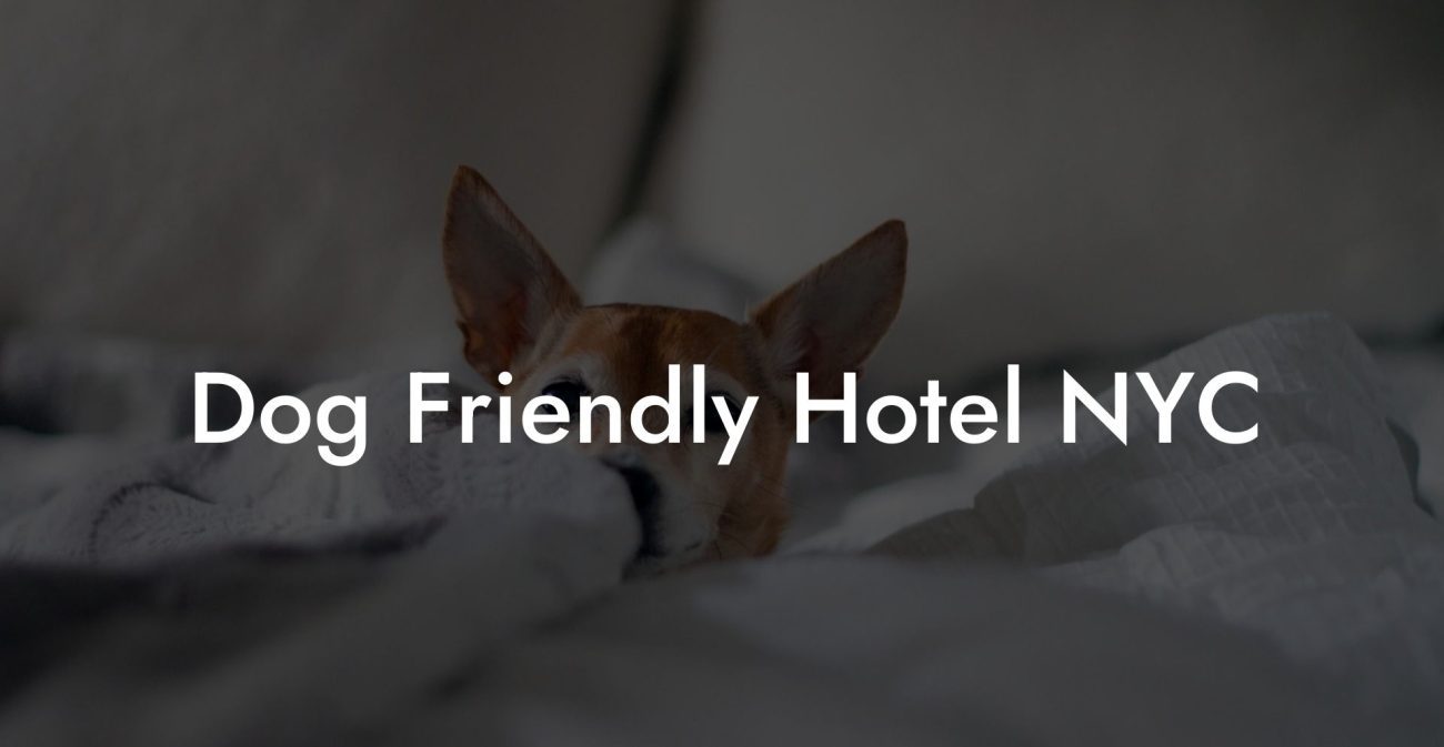 Dog Friendly Hotel NYC