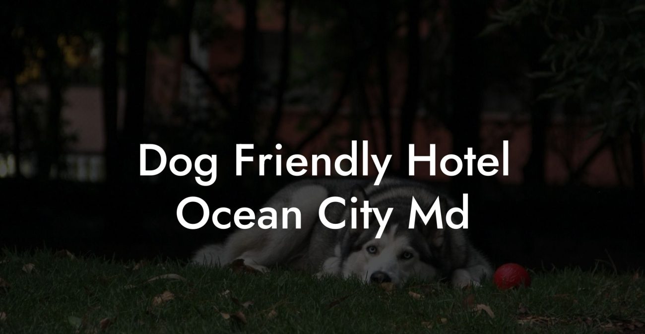 Dog Friendly Hotel Ocean City Md