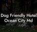 Dog Friendly Hotel Ocean City Md