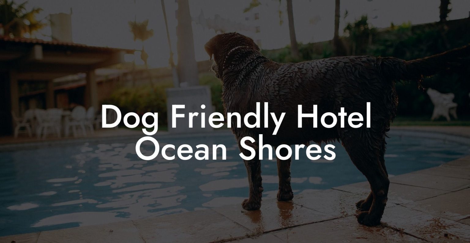 Dog Friendly Hotel Ocean Shores Dog Hotels