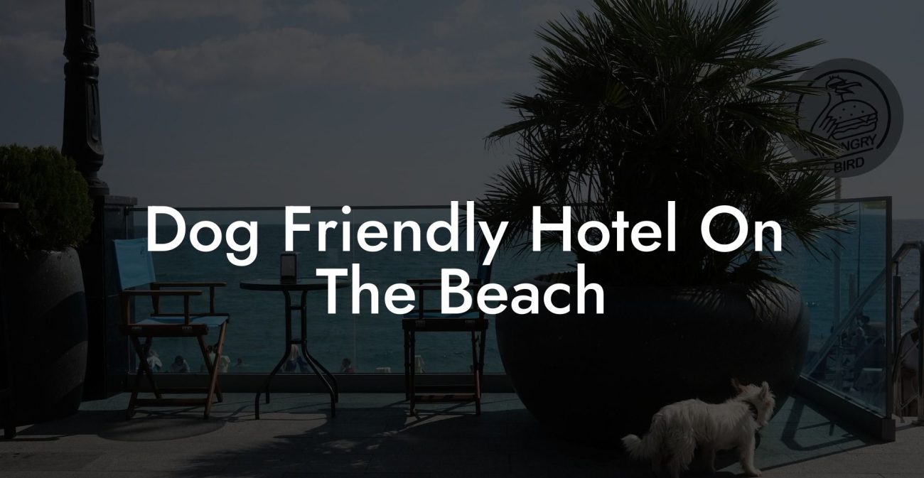 Dog Friendly Hotel On The Beach
