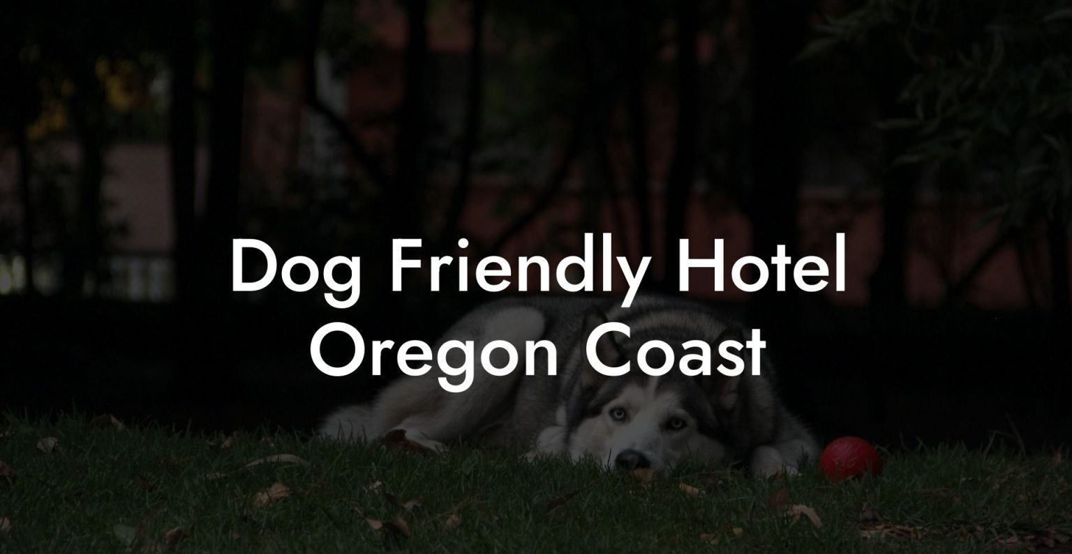 Dog Friendly Hotel Oregon Coast Dog Hotels