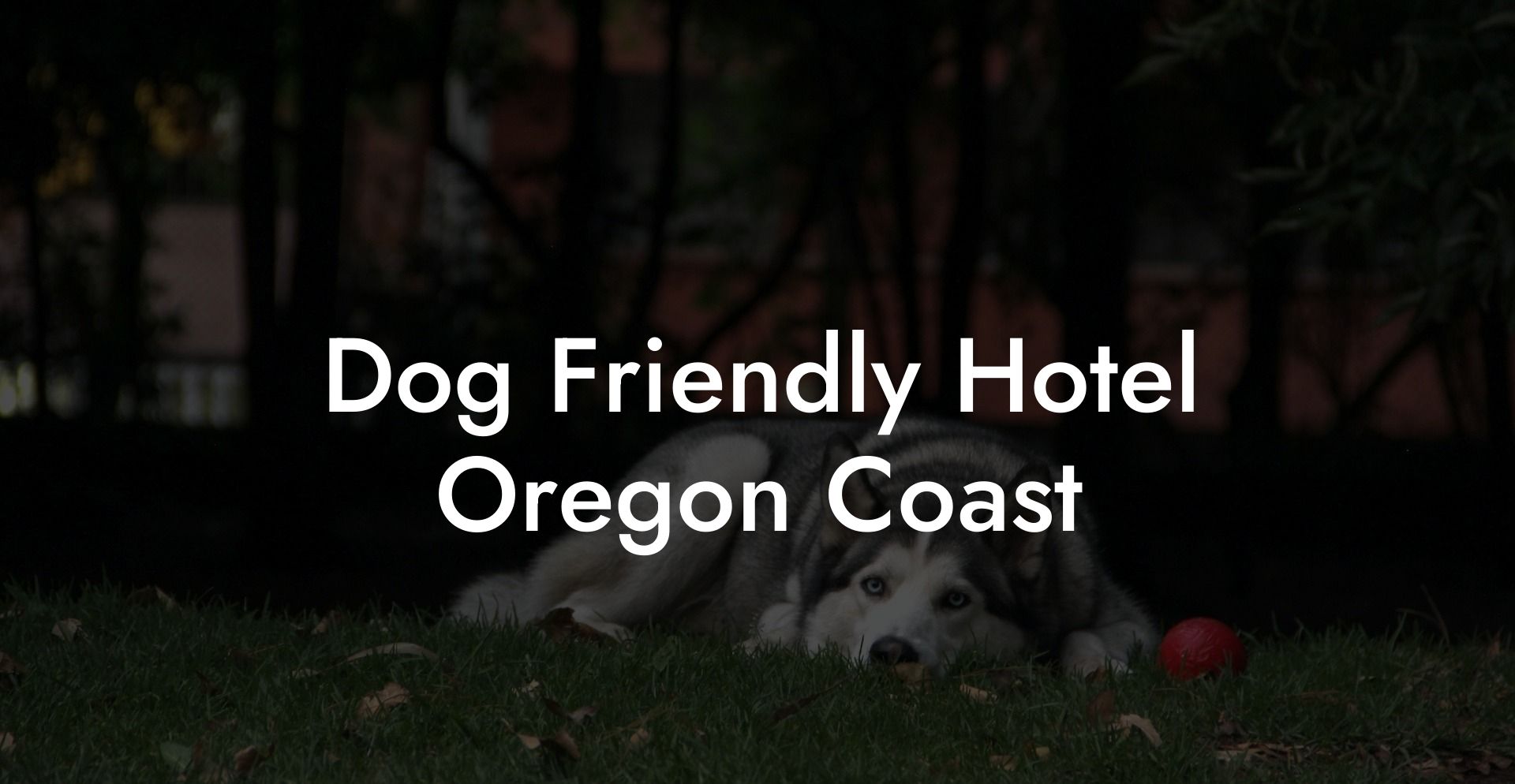 Dog Friendly Hotel Oregon Coast