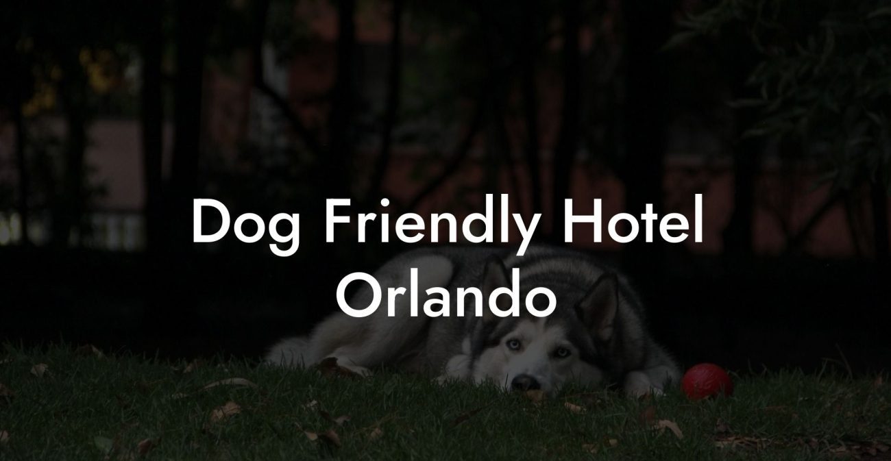 Dog Friendly Hotel Orlando