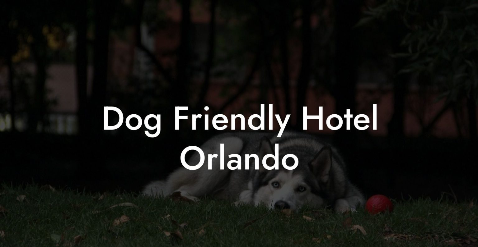 Dog Friendly Hotel Orlando Dog Hotels
