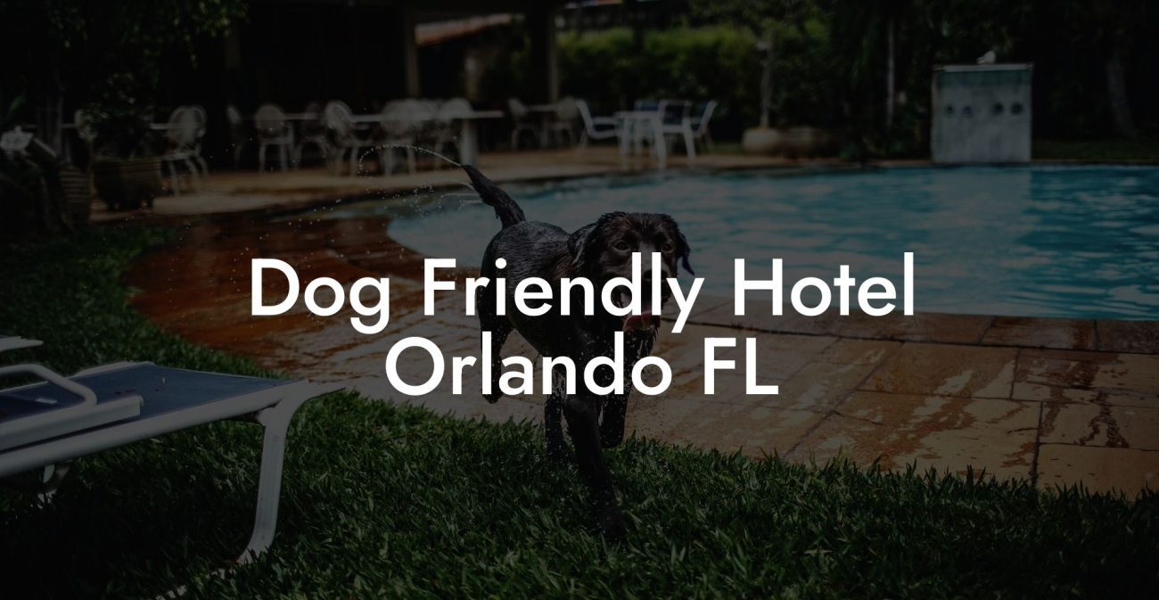 Dog Friendly Hotel Orlando FL