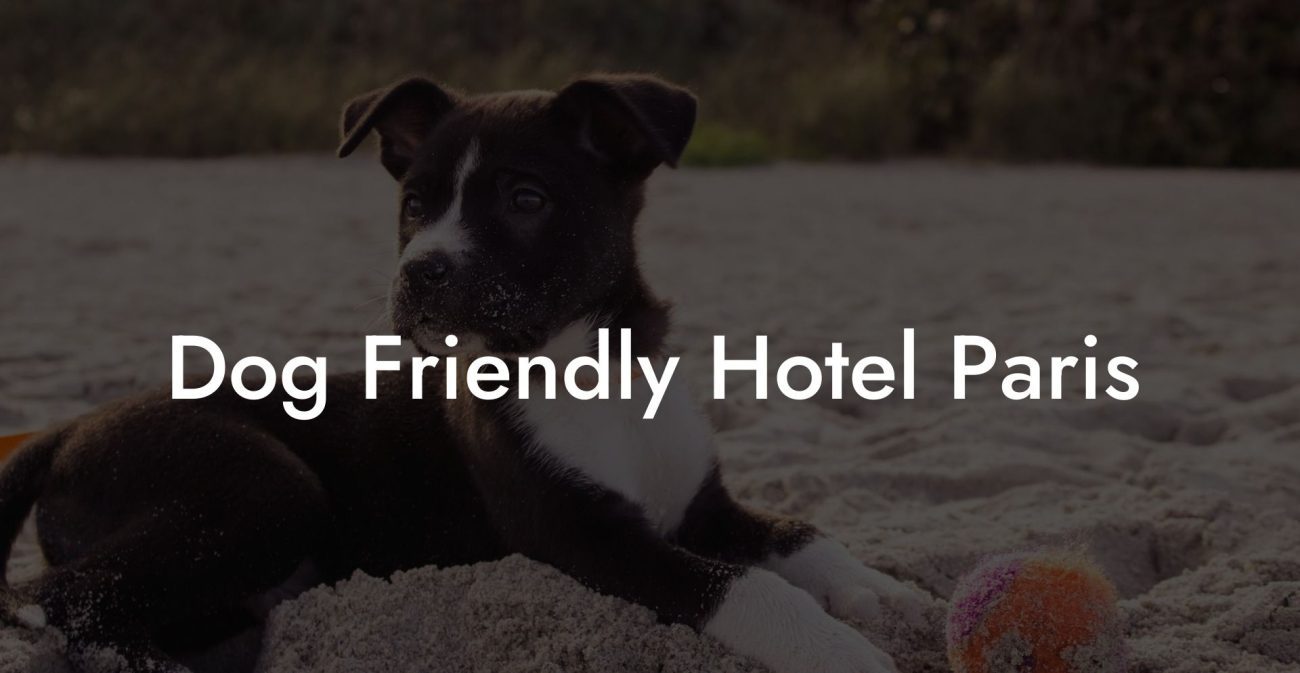 Dog Friendly Hotel Paris