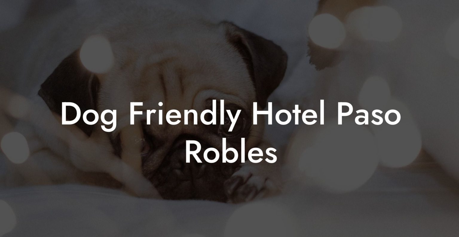 Dog Friendly Hotel Paso Robles Dog Hotels
