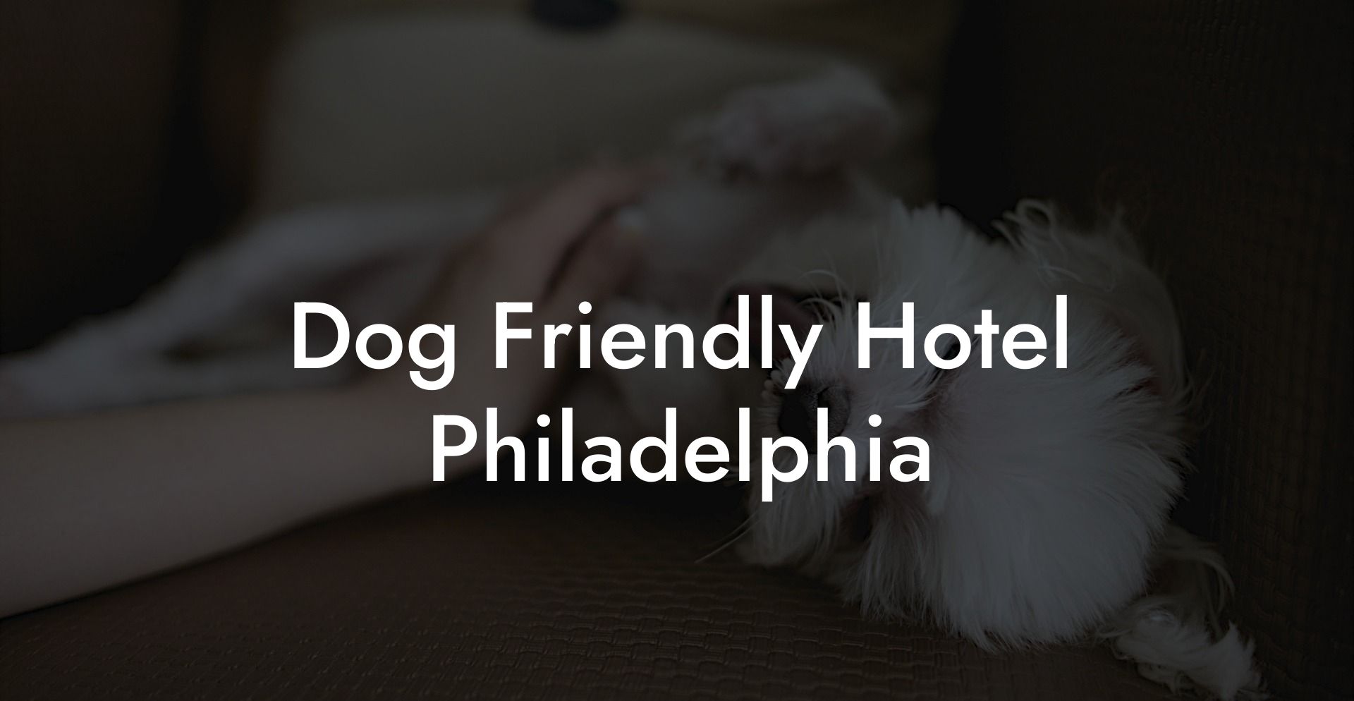 Dog Friendly Hotel Philadelphia